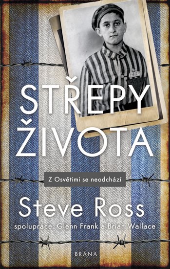 Střepy života - Ross Steve