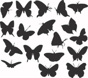 Plastová šablona - Motýlci