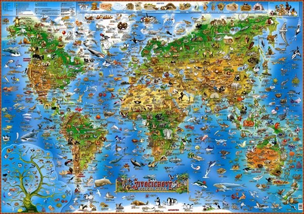 Živočichové celého světa - Ilustrovaná mapa pro děti - neuveden