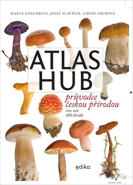 Atlas hub - Patrycja Zarawska