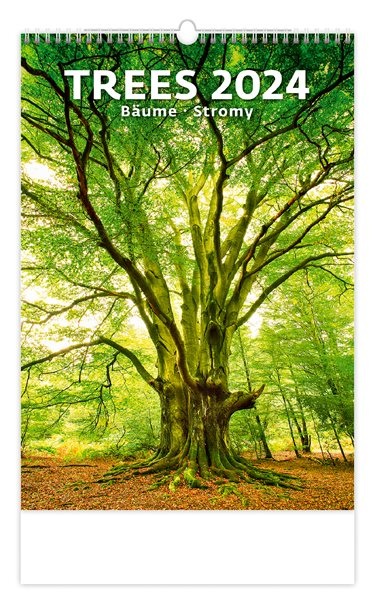 Kalendář nástěnný 2024 - Trees/Bäume/Stromy