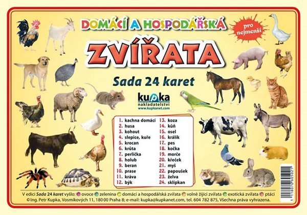 Domácí a hospodářská zvířata - Sada 24 karet - Kupka Petr a kolektiv