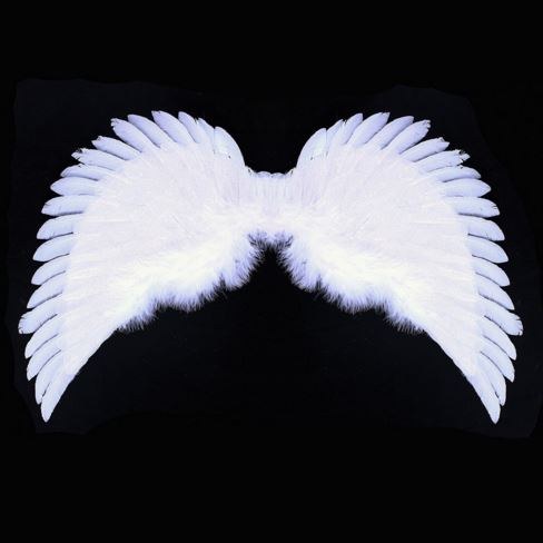 Křídla andělská